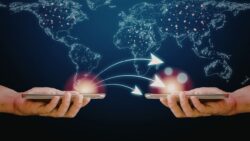 Jak wygląda budowa sieci telekomunikacyjnej od podstaw?